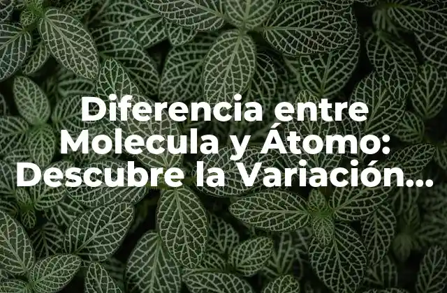 Diferencia entre Molecula y Átomo: Descubre la Variación Fundamental