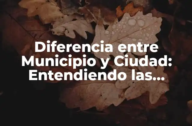 Diferencia entre Municipio y Ciudad: Entendiendo las Distintas Formas de Gobierno Local