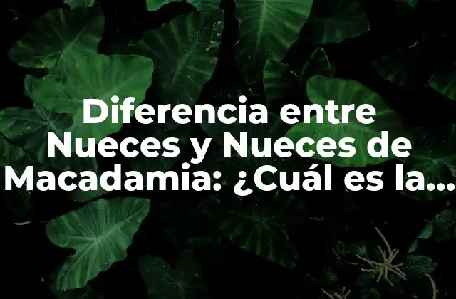 Diferencia entre Nueces y Nueces de Macadamia: ¿cuál es la Mejor Opción?