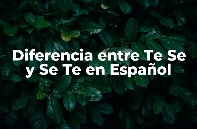 Diferencia entre Te Se y Se Te en Español