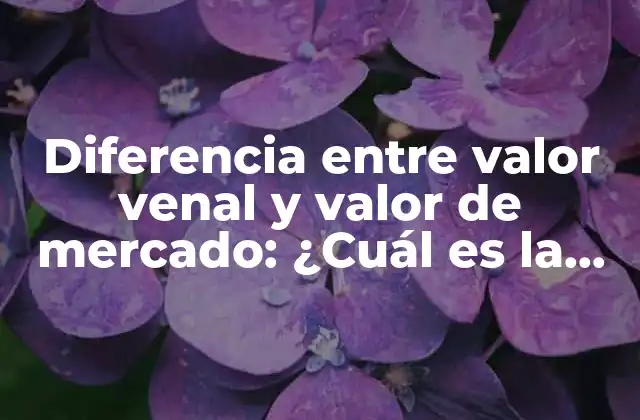 Diferencia entre Valor Venal y Valor de Mercado: ¿cuál es la Diferencia?