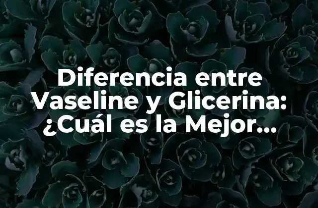Diferencia entre Vaseline y Glicerina: ¿cuál es la Mejor Opción para Tu Piel?