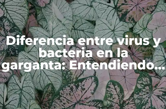 Diferencia entre Virus y Bacteria en la Garganta: Entendiendo las Causas de la Infección