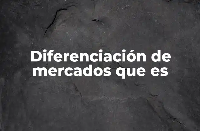 Diferenciación de Mercados que es