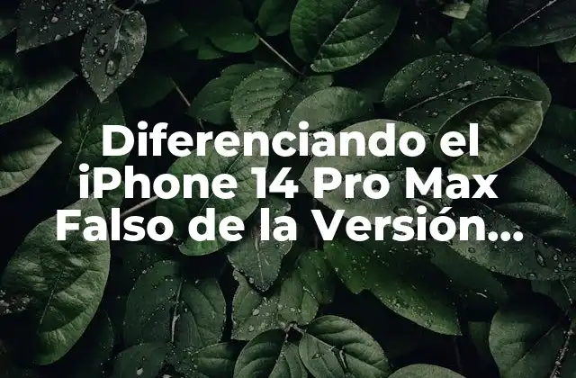 ¿Cómo Identificar un iPhone 14 Pro Max Falso?