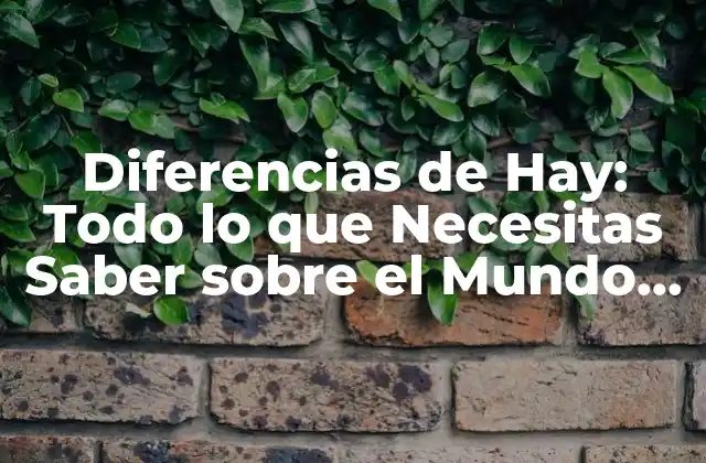 Diferencias de Hay: Todo Lo que Necesitas Saber sobre el Mundo de los Forrajes