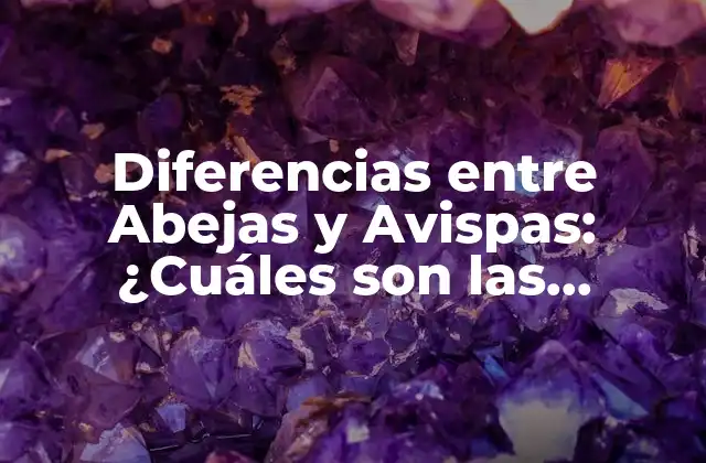 Diferencias entre Abejas y Avispas: ¿cuáles Son las Distintas Características?