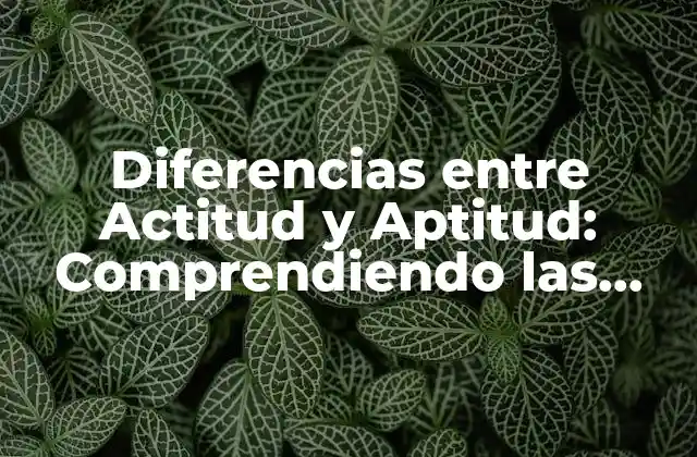 Diferencias entre Actitud y Aptitud: Comprendiendo las Distinciones Clave