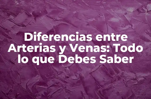 Diferencias entre Arterias y Venas: Todo Lo que Debes Saber