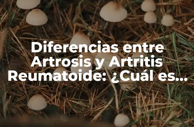 Diferencias entre Artrosis y Artritis Reumatoide: ¿cuál es la Distinción?