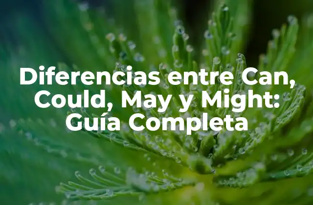Diferencias entre Can, Could, May y Might: Guía Completa
