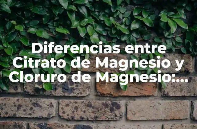 Diferencias entre Citrato de Magnesio y Cloruro de Magnesio: ¿cuál es Mejor?