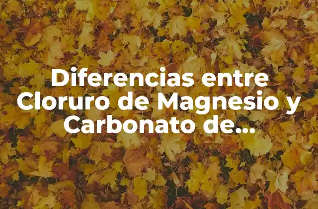 Diferencias entre Cloruro de Magnesio y Carbonato de Magnesio: ¿cuál es Mejor?