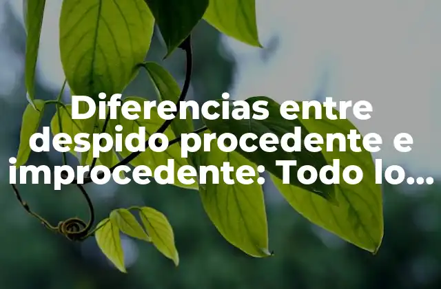 Diferencias entre Despido Procedente e Improcedente: Todo Lo que Debes Saber