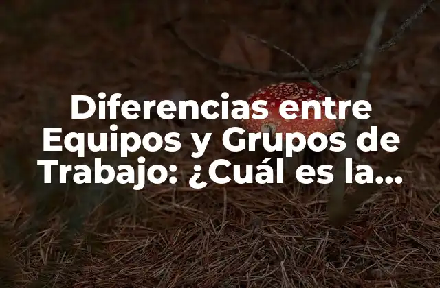 Diferencias entre Equipos y Grupos de Trabajo: ¿cuál es la Distinción?
