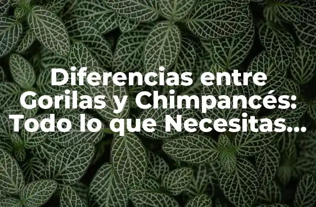 Diferencias entre Gorilas y Chimpancés: Todo Lo que Necesitas Saber