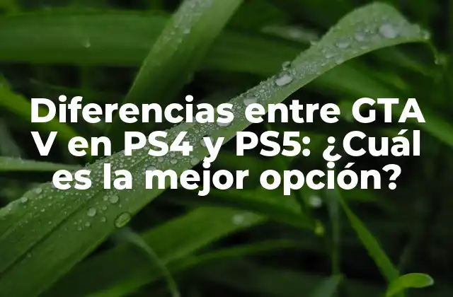 Diferencias entre Gta V en Ps4 y Ps5: ¿cuál es la Mejor Opción?
