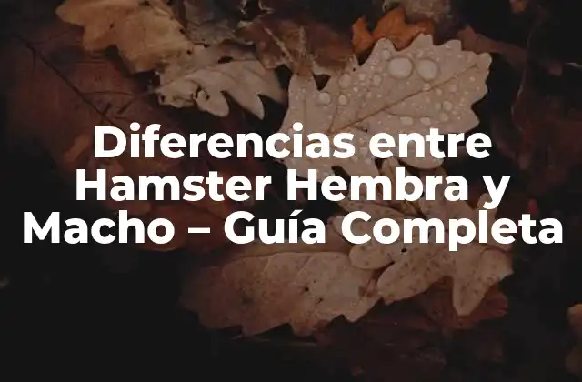 Diferencias entre Hamster Hembra y Macho - Guía Completa 2 Características Físicas - ¿Cómo Identificar a un Hamster Hembra o Macho?