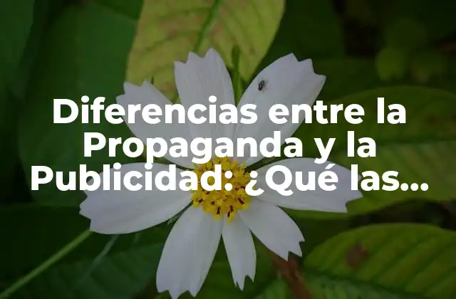 Diferencias entre la Propaganda y la Publicidad: ¿qué las Hace Tan Distintas?