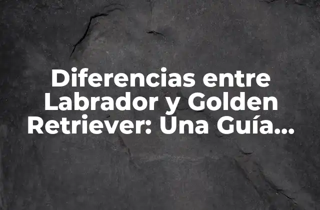 Diferencias entre Labrador y Golden Retriever: una Guía Definitiva