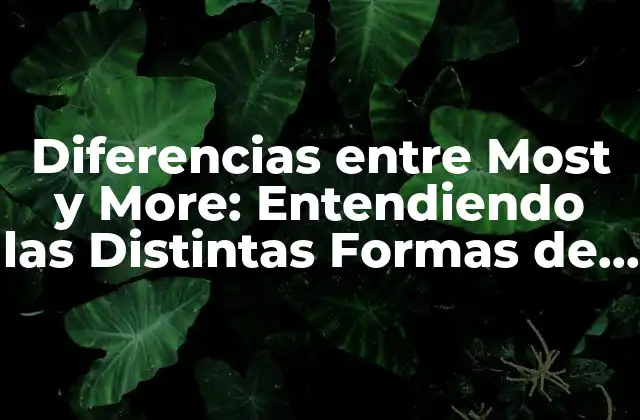 Diferencias entre Most y More: Entendiendo las Distintas Formas de Expresar Cantidad