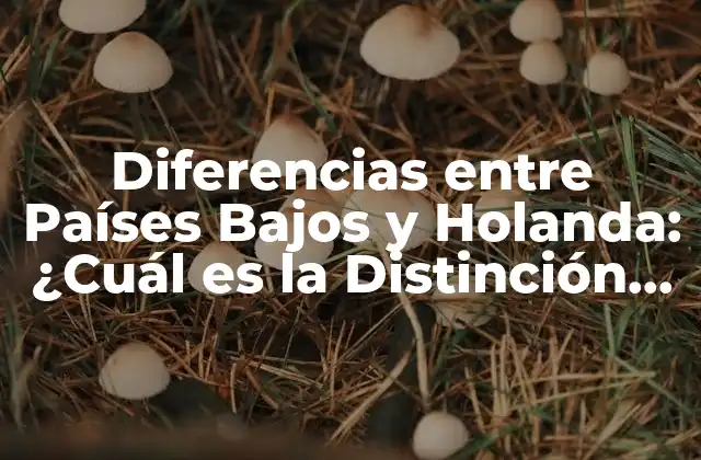 Diferencias entre Países Bajos y Holanda: ¿cuál es la Distinción Exacta?