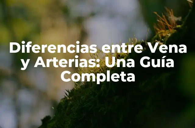 Diferencias entre Vena y Arterias: una Guía Completa