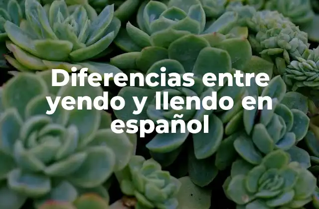 Diferencias entre Yendo y Llendo en Español