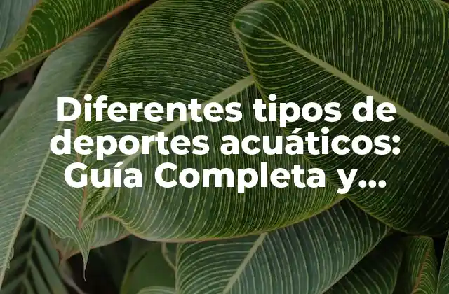 Diferentes Tipos de Deportes Acuáticos: Guía Completa y Actualizada 2 Nadar: El Deporte Acuático más Popular