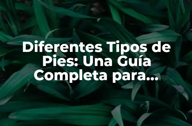 Diferentes Tipos de Pies: una Guía Completa para Identificar y Cuidar Tus Pies
