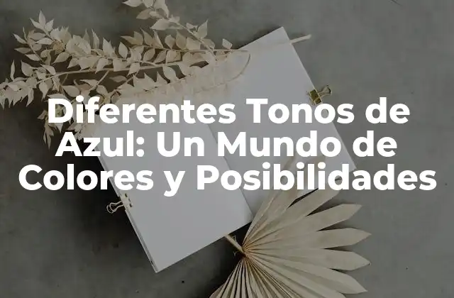Diferentes Tonos de Azul: un Mundo de Colores y Posibilidades