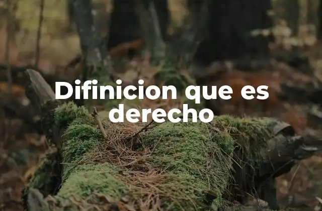 Difinicion que es Derecho