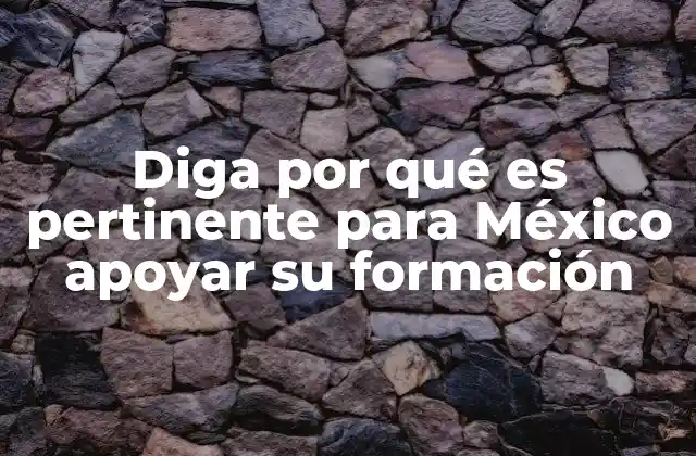 Diga por Qué es Pertinente para México Apoyar Su Formación