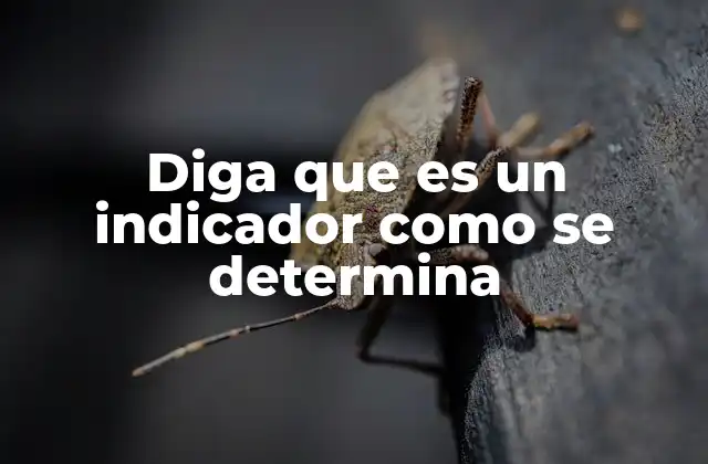 Diga que es un Indicador como Se Determina