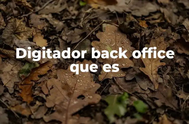 Digitador Back Office que es