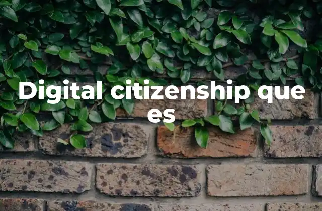 Digital Citizenship que es
