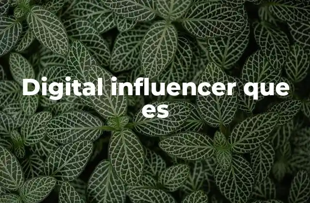Digital Influencer que es 2 El impacto de los creadores de contenido en el entorno digital