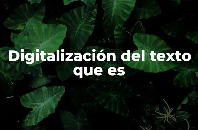 Digitalización Del Texto que es