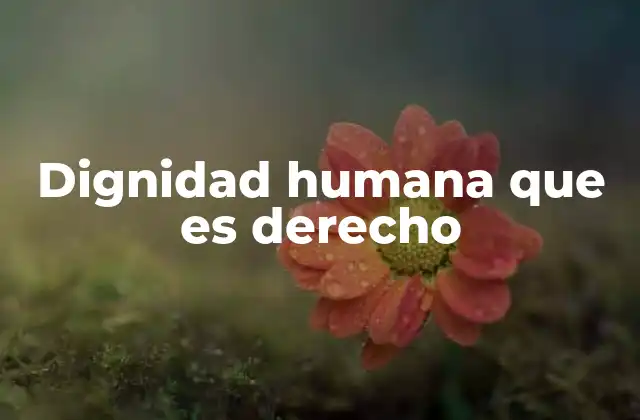 La base ética y filosófica de la dignidad humana como derecho