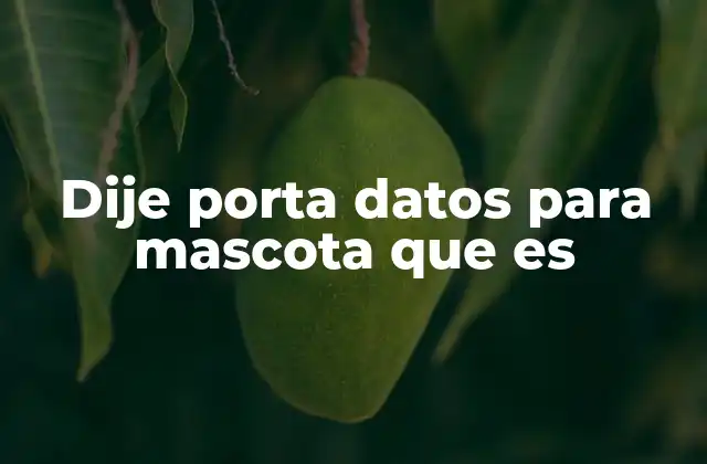 Dije Porta Datos para Mascota que es