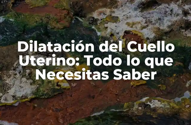 Dilatación Del Cuello Uterino: Todo Lo que Necesitas Saber