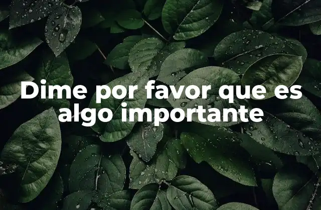 Dime por Favor que es Algo Importante