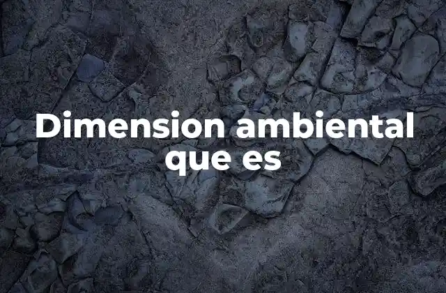 Dimension Ambiental que es