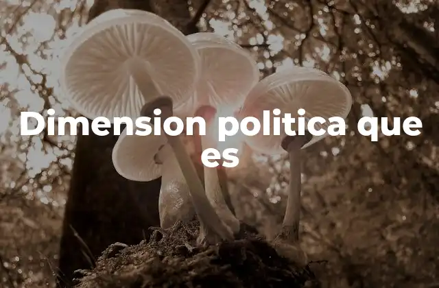 Dimension Politica que es 2 La estructura detrás del poder colectivo