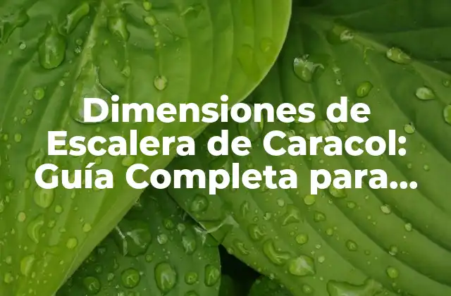Dimensiones de Escalera de Caracol: Guía Completa para Diseñar y Instalar
