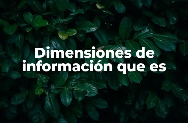 Dimensiones de Información que es
