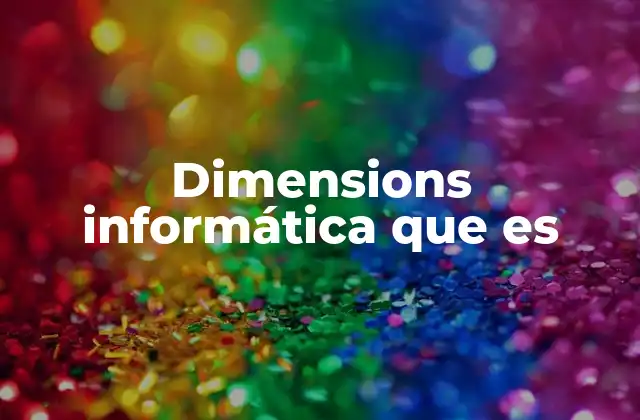 Dimensions Informática que es