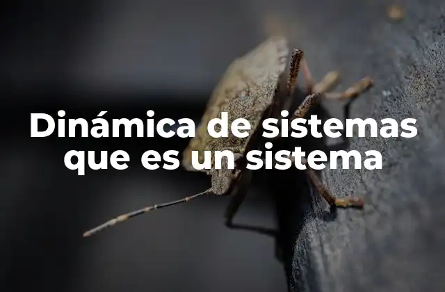Dinámica de Sistemas que es un Sistema