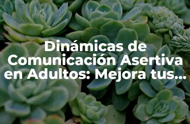 Dinámicas de Comunicación Asertiva en Adultos: Mejora Tus Relaciones