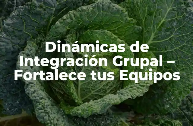 Dinámicas de Integración Grupal – Fortalece Tus Equipos